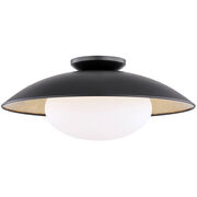 Semi-Flush Mounts