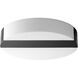 Aurora 1 Light 13.5 inch Black Flush Mount Ceiling Light