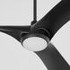 Ridley 58 inch Black with Matte Black Blades Ceiling Fan