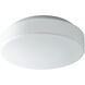 Rhythm 1 Light 10 inch White Flush Mount Ceiling Light