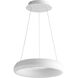Roswell LED 16 inch Aged Brass Pendant Ceiling Light