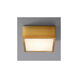 Pyxis 1 Light 5 inch Aged Brass Flush Mount Ceiling Light