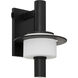 Janus 18 inch Black Outdoor Wall Lantern
