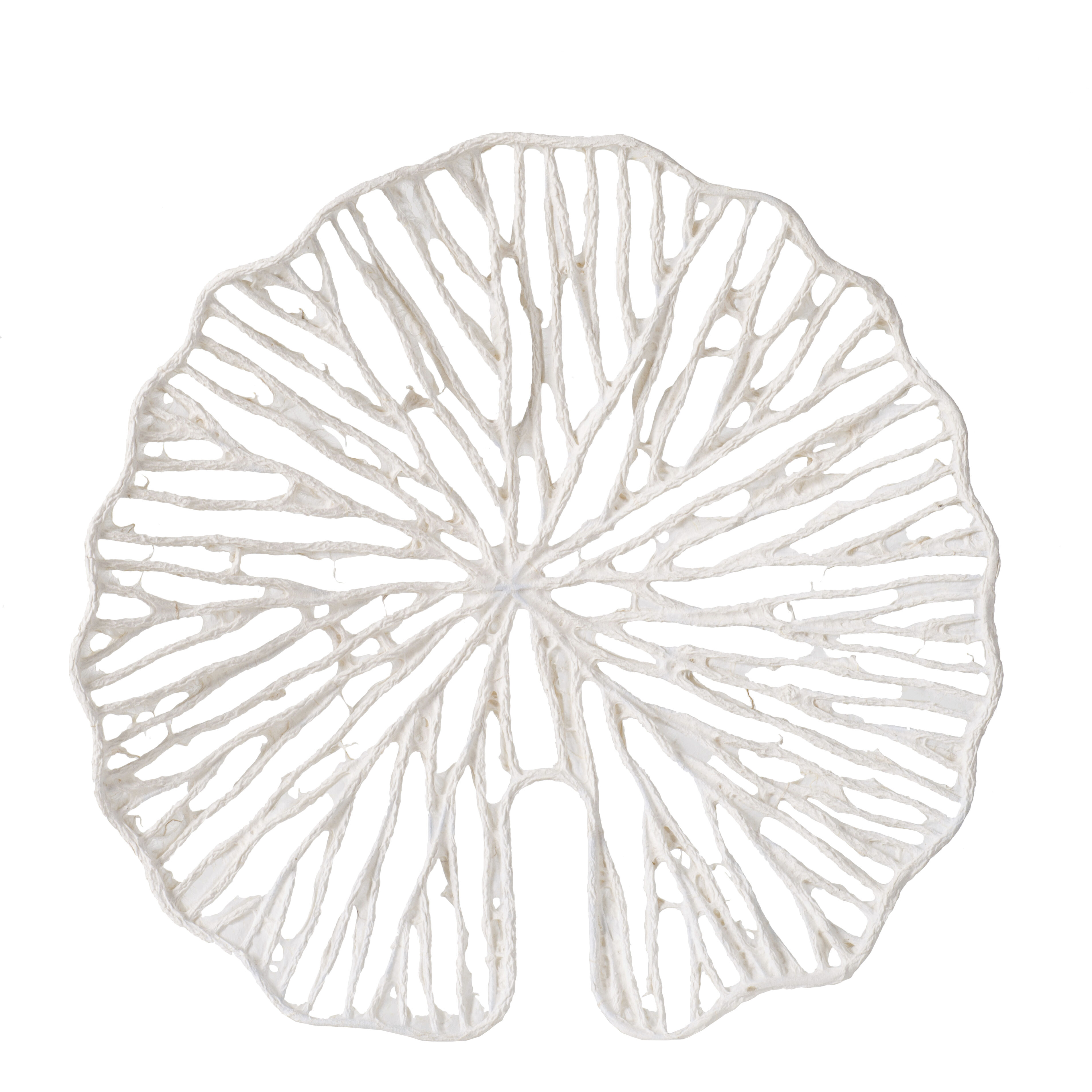 Anita White Wall Décor