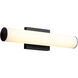 Fugit LED 18 inch Black Vanity Light Wall Light