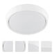 Myriad 1 Light White Fan Light Kit
