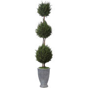 Artificial Flowers & Plants