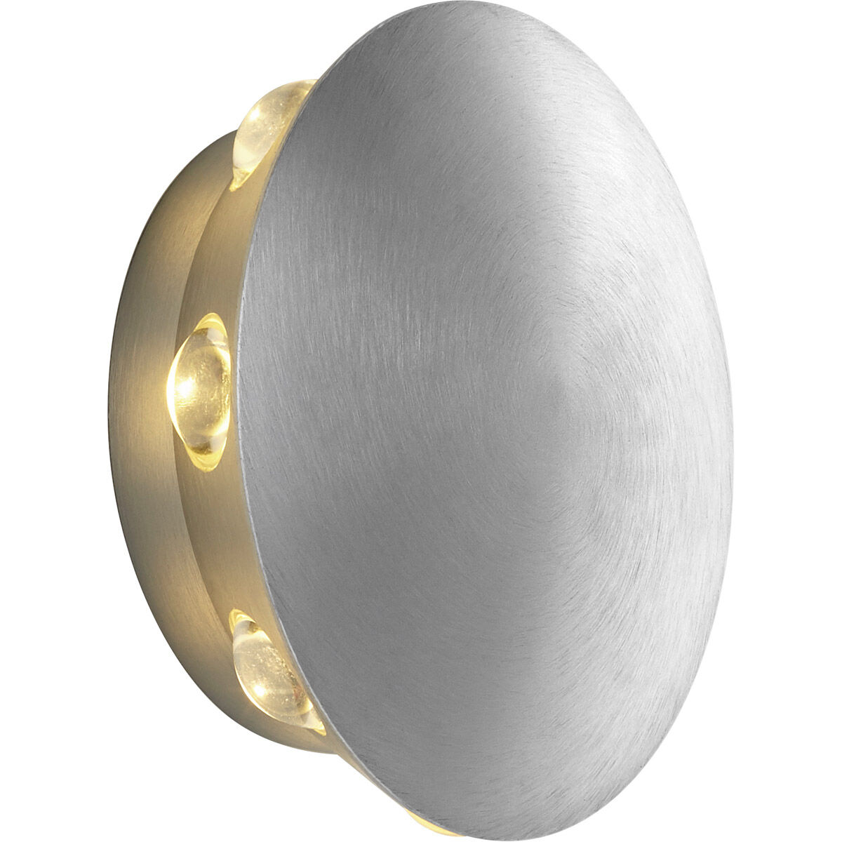 Rickie LED 6 inch Brushed Aluminum Outdoor Wall Sconce