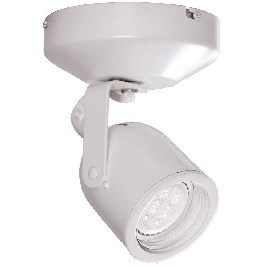 Spot 808 1 Light 4.50 inch Spot Light