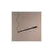 Zepp LED 1 inch Black Pendant Ceiling Light