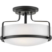 Semi-Flush Mounts