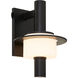 Janus 18 inch Black Outdoor Wall Lantern