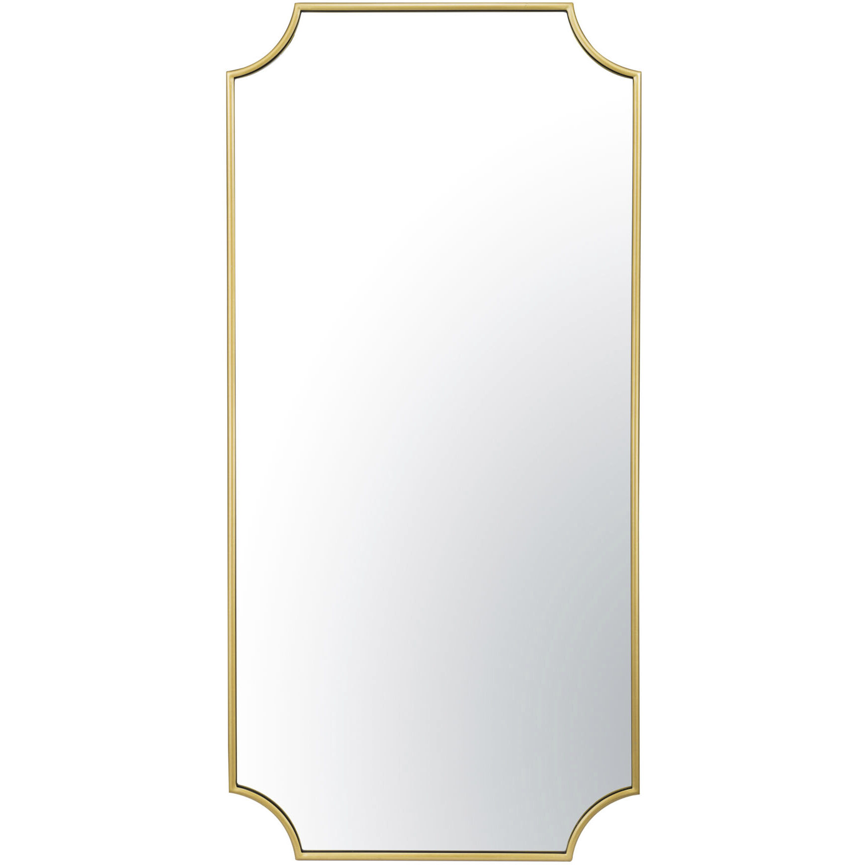 Carlton 50.00 inch  X 24.00 inch Wall Mirror