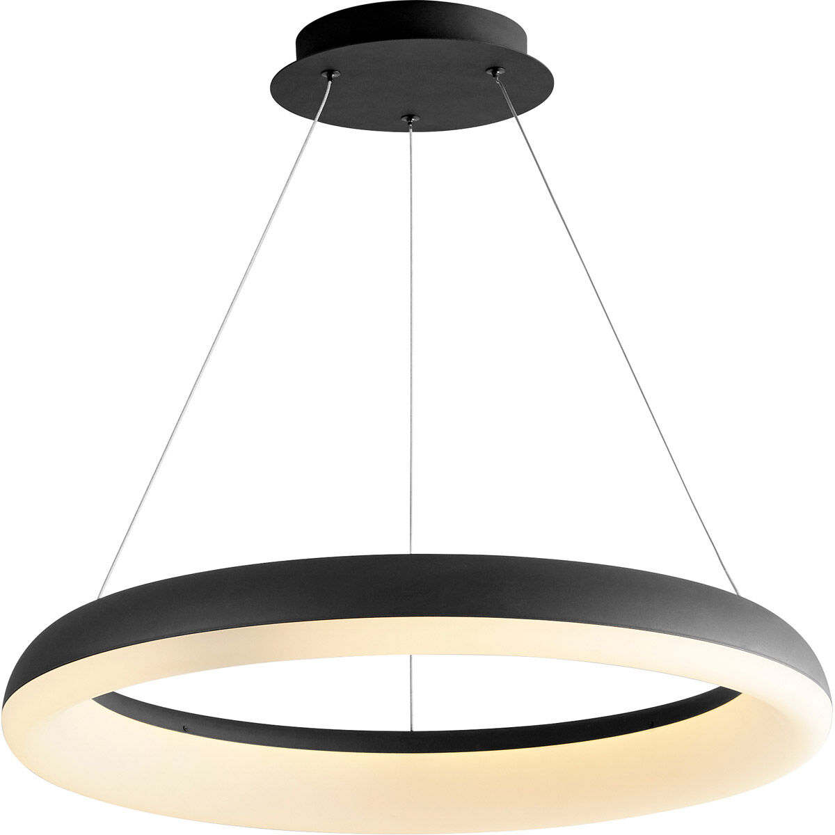Roswell LED 24 inch Black Pendant Ceiling Light