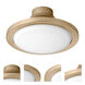 Juno LED Aged Brass Fan Light Kit
