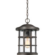 Outdoor Pendants / Chandeliers