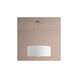 Echo 3 Light 24 inch Satin Nickel Pendant Ceiling Light