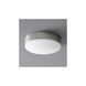 Journey 2 Light 14.00 inch Flush Mount