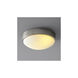 Journey 1 Light 11 inch Satin Nickel Flush Mount Ceiling Light