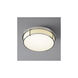 iO 2 Light 17 inch Satin Nickel Flush Mount Ceiling Light