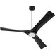 Ridley 58 inch Black with Matte Black Blades Ceiling Fan