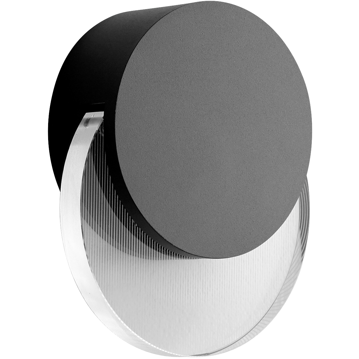 Pavo 1 Light 6 inch Black Outdoor Wall Sconce